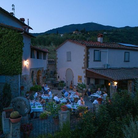 Agriturismo Borgo Mocale Castelfranco di Sopra المظهر الخارجي الصورة
