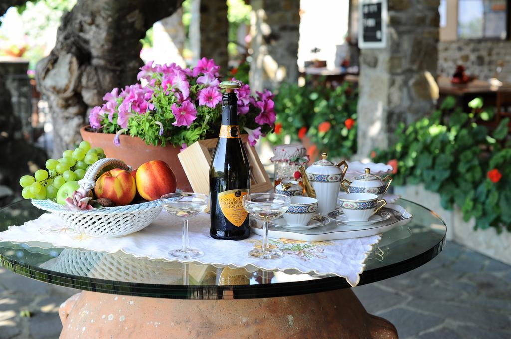 Agriturismo Borgo Mocale Castelfranco di Sopra المظهر الخارجي الصورة