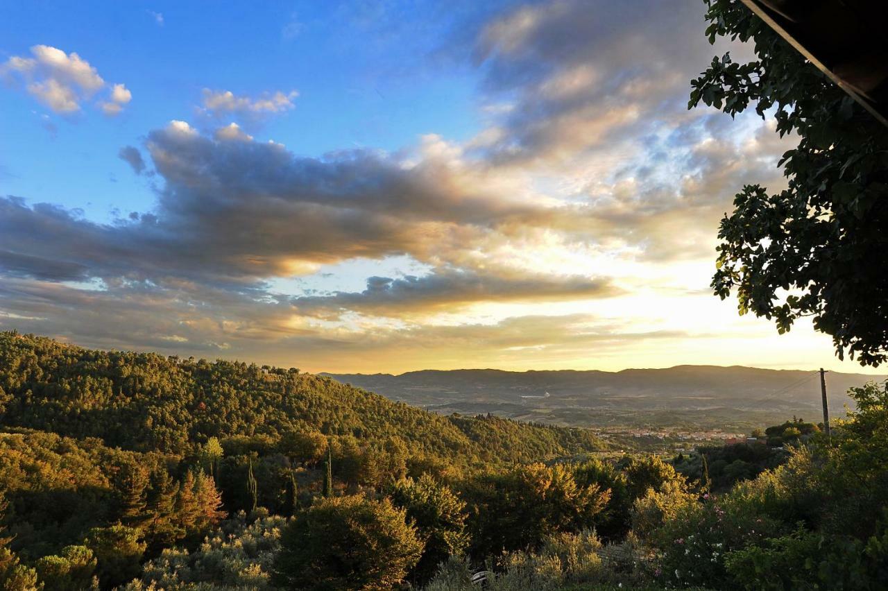 Agriturismo Borgo Mocale Castelfranco di Sopra المظهر الخارجي الصورة